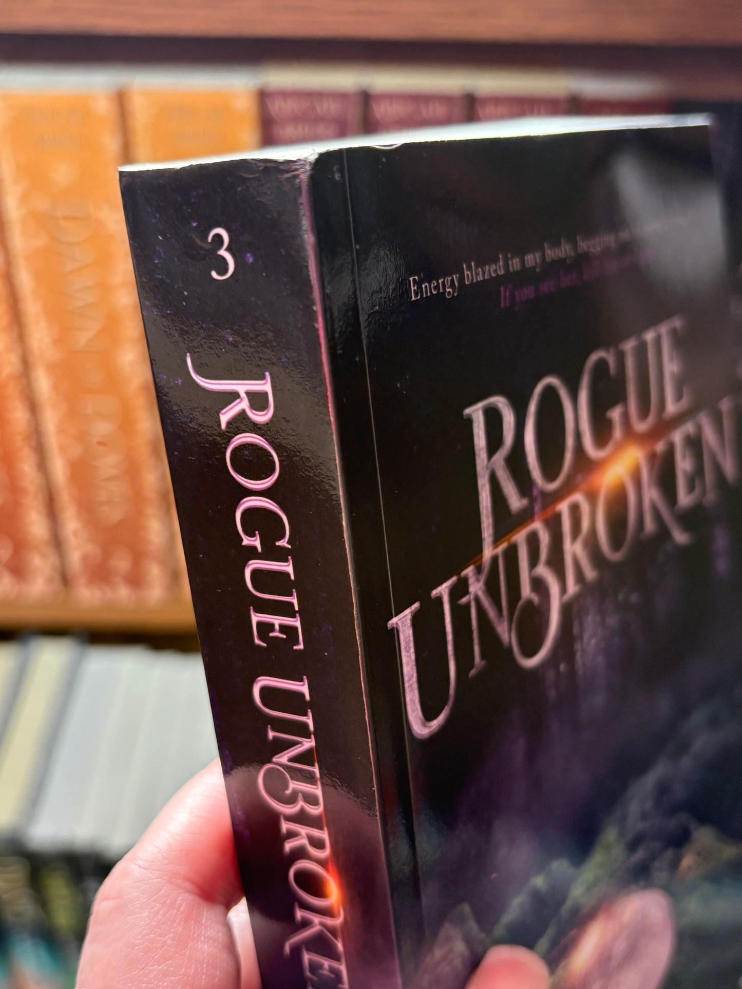 Rogue Unbroken -Legends & Shadows Saga: A Clean Romantasy | Book 3 (Blemished Edition)