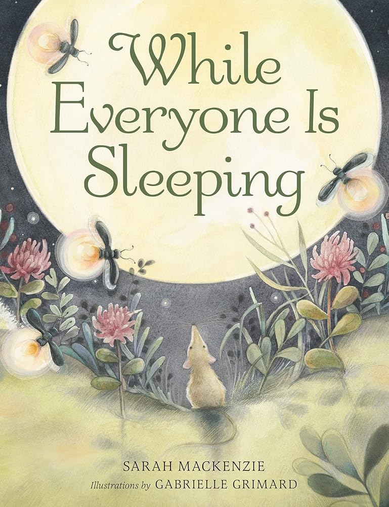 While Everyone Is Sleeping cover image