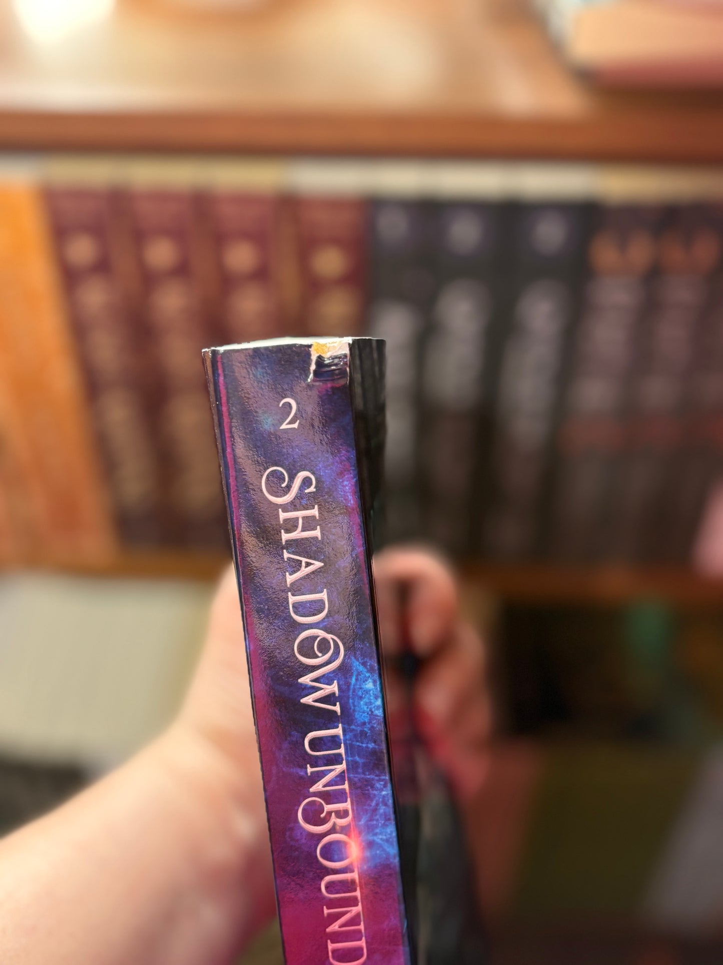 Shadow Unbound -Legends & Shadows Saga: A Clean Romantasy | Book 2 (Blemished Edition)