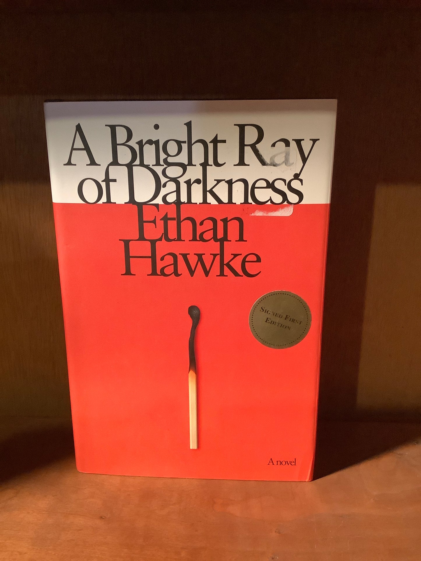 A Bright Ray of Darkness: A novel (Used)