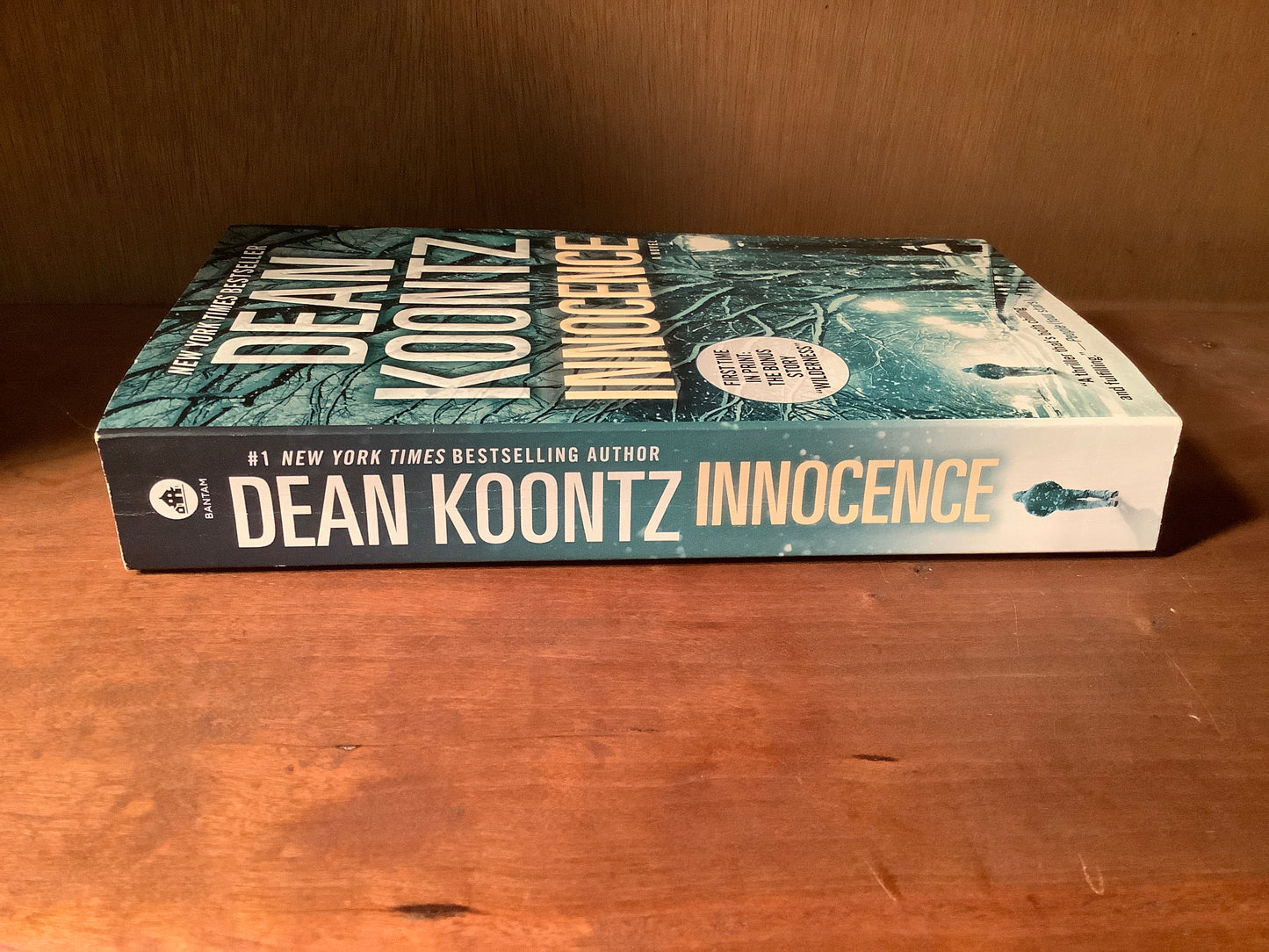 Innocence (with bonus short story Wilderness): A Novel (Used)