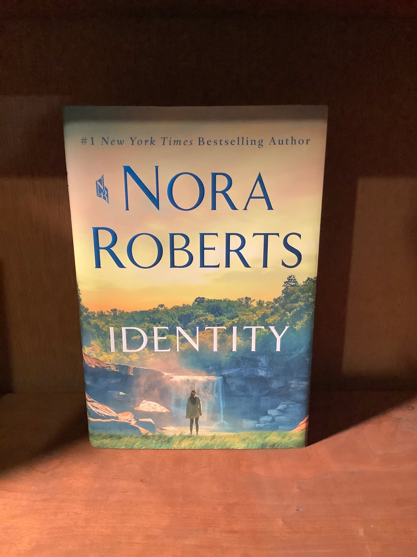 Identity: A Novel (USED)