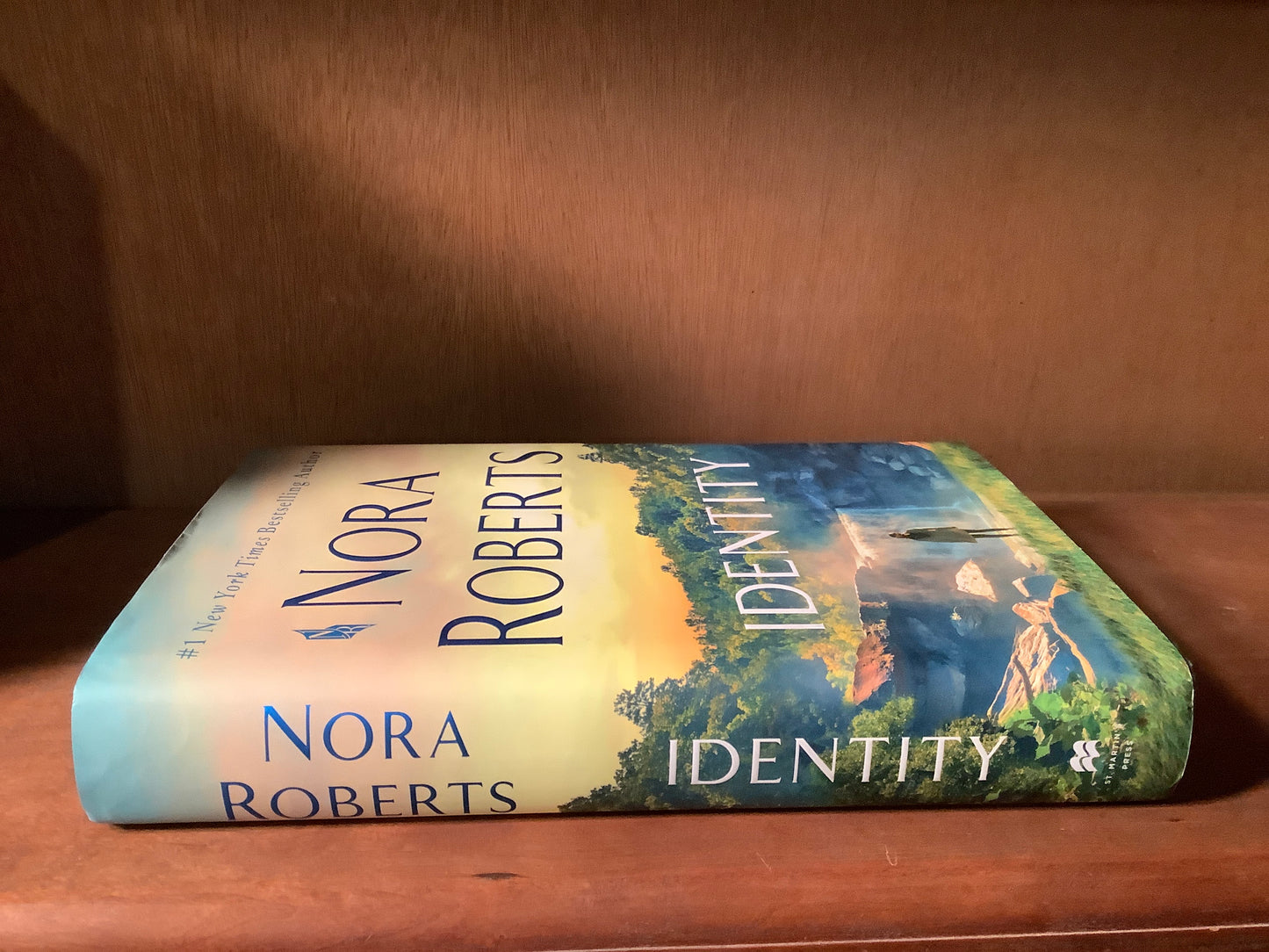 Identity: A Novel (USED)